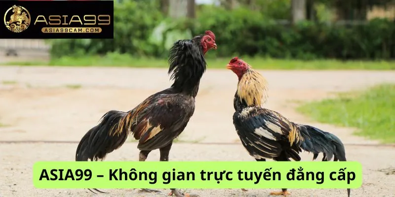Không gian đẳng cấp