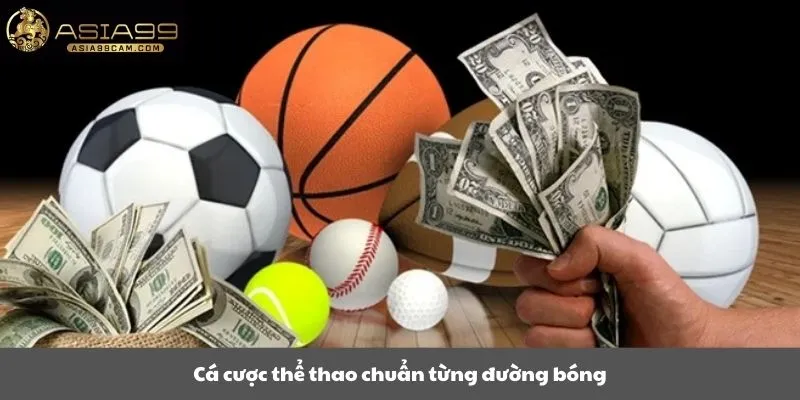 Cá cược thể thao chuẩn từng đường bóng