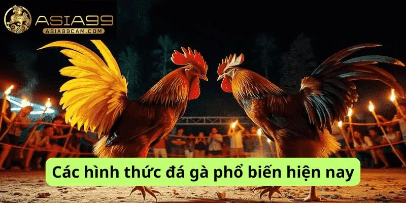 Các hình thức phổ biến