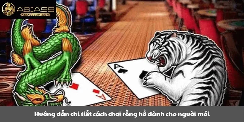 Hướng dẫn chi tiết cách chơi rồng hổ dành cho người mới