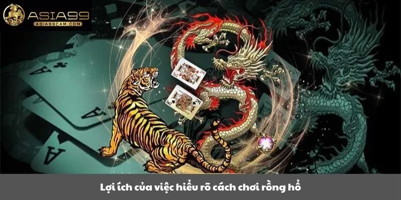 Lợi ích của việc hiểu rõ cách chơi rồng hổ