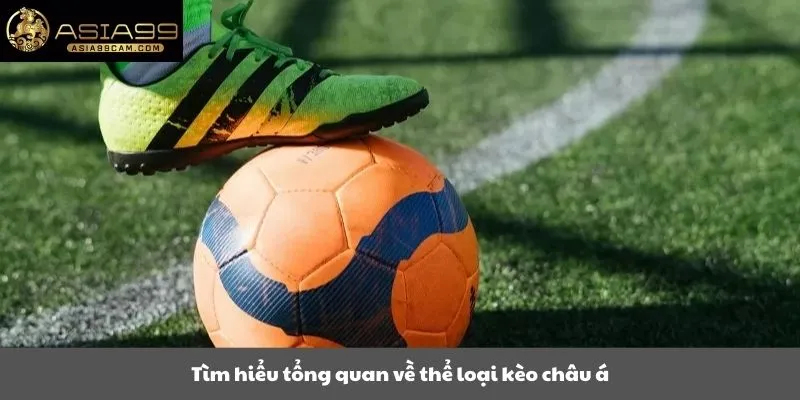 Tìm hiểu tổng quan về thể loại kèo châu á