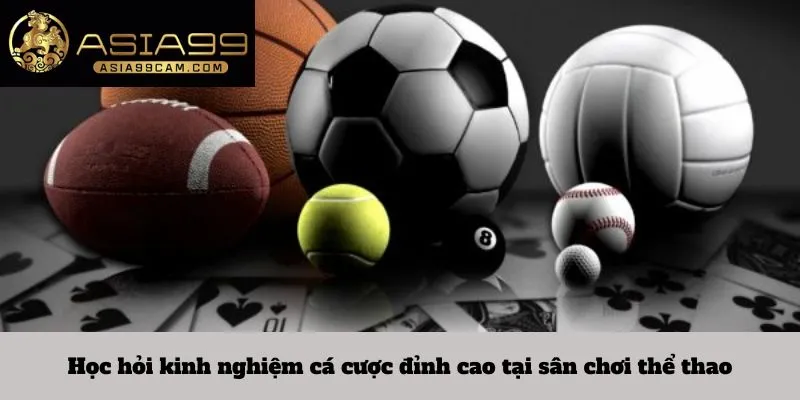 Học hỏi kinh nghiệm cá cược đỉnh cao tại sân chơi thể thao