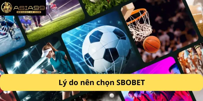 Lý do nên chọn SBOBET